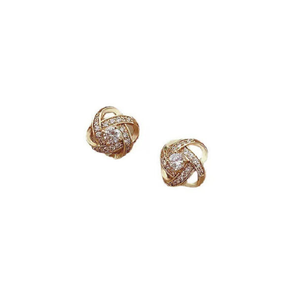 Infinite Possibilities Earrings - Image 4
